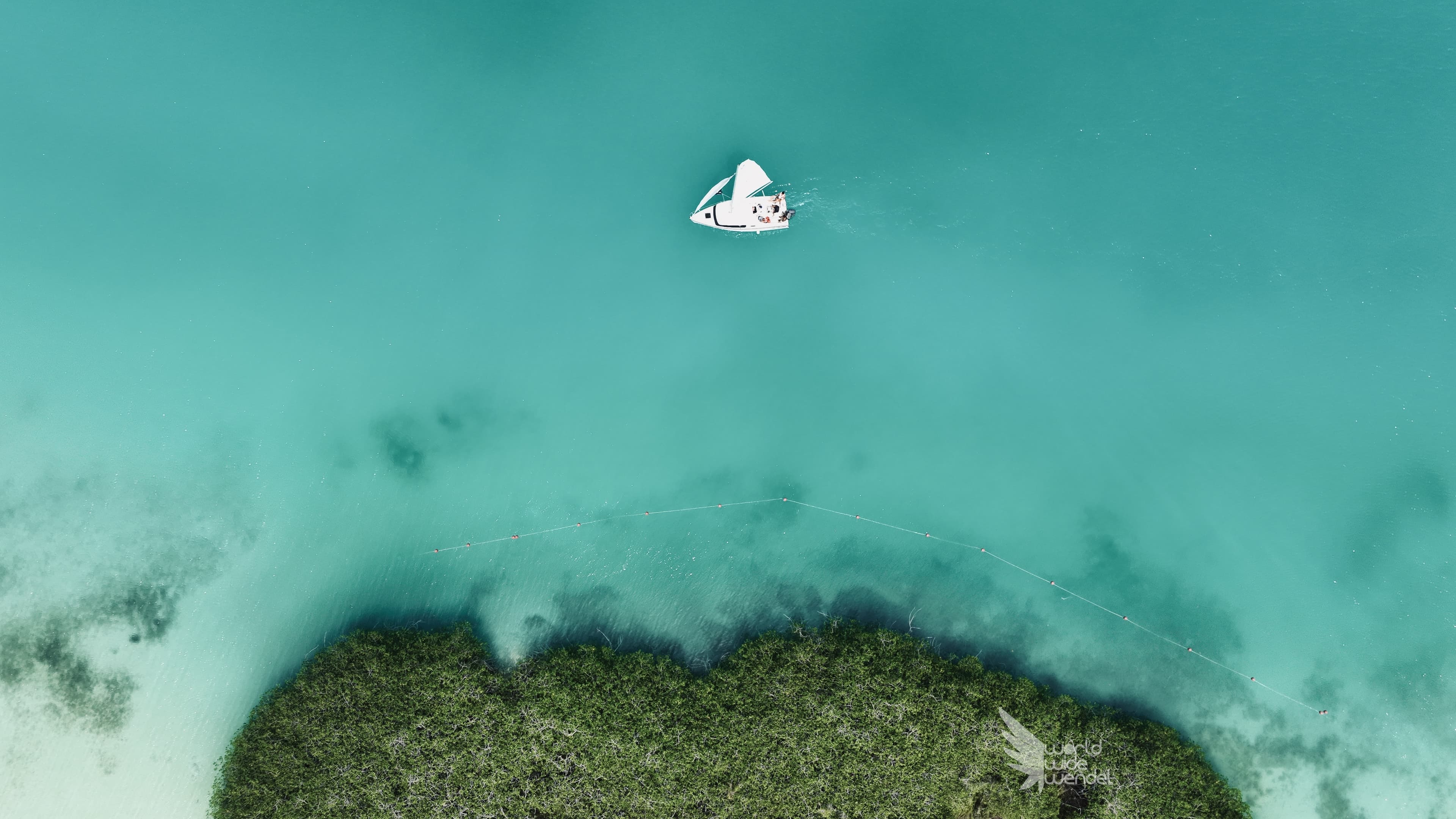 Luchtfoto van een zeilboot bij een groen mangrove-eilandje in turkoois water